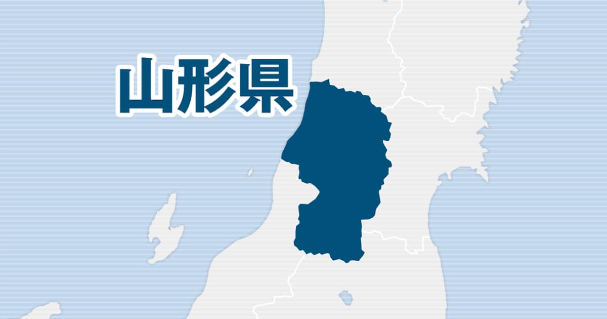 【山形】人気の「佐藤錦」だけもぎとる　サクランボ200キロ、100万円相当盗まれる